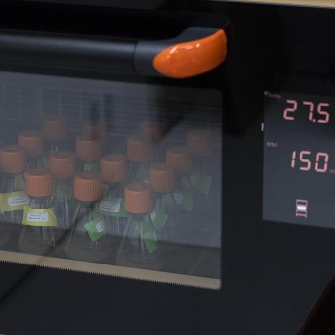 Novavax touts non-mRNA COVID-19 vaccine, hopeful to meet domestic production deadline